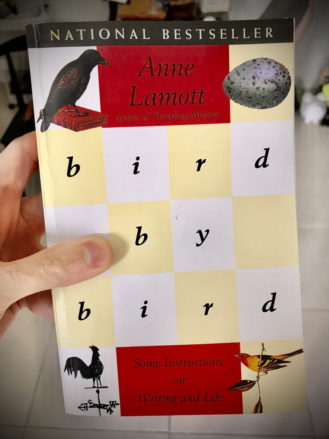 anne lamott bird by bird review